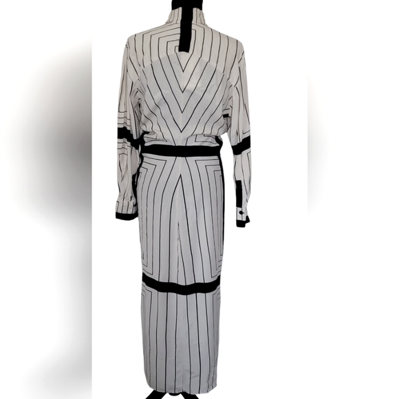 Zara Blogger Faves Striped Button Down Form fitting Maxi Dress - Picture 4 of 15